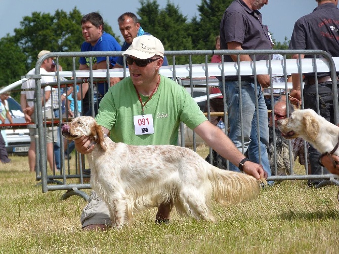 De La Plume Mordorée - Régionale d'élevage de Mauron 2014